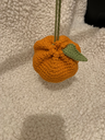 IMG_2714.webp